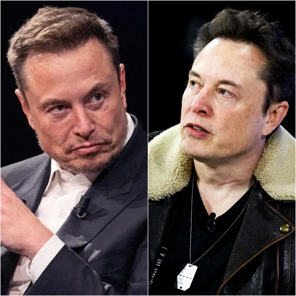 Elon Musk's Studio Investment Exposed as 'Unprecedented' Money